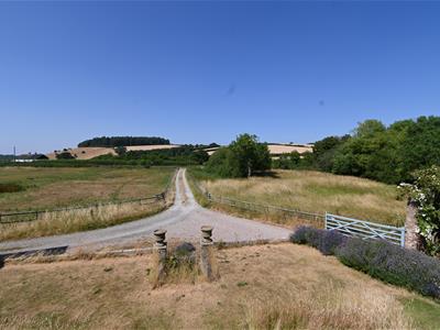 Picture 11